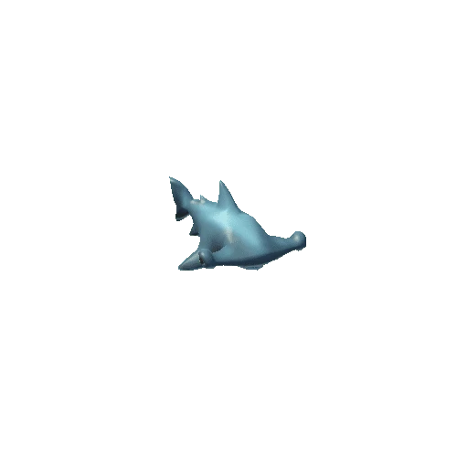 hammerhead shark_anim